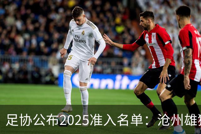 足协公布2025准入名单：沧州雄狮、广州队无缘